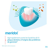 Meridol Bain Bouche Protection Gencives 400ml Nf